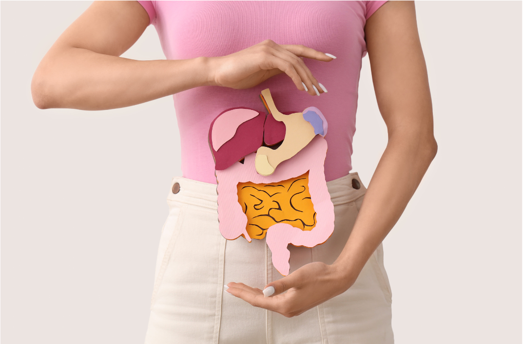 Atelier Des solutions naturelles à vos problèmes digestifs